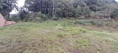 Foto Terreno