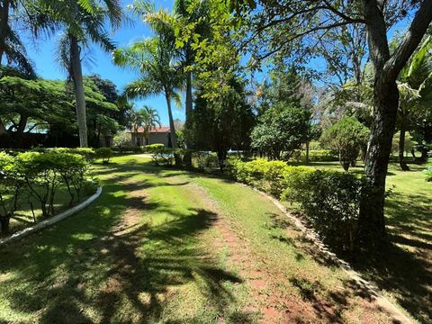 Foto Fazenda / Sítio / Chácara