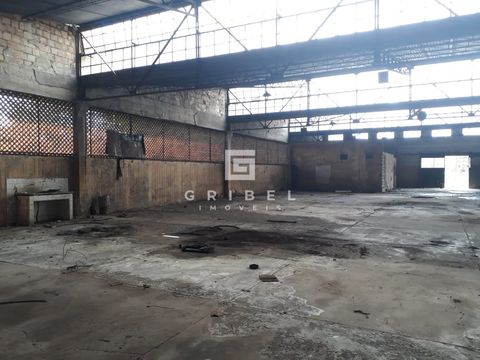 Foto Galpão / Depósito / Armazém / Pavilhão