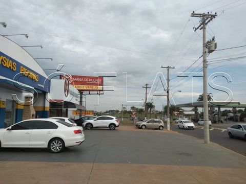 Foto Terreno