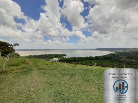 Foto Terreno