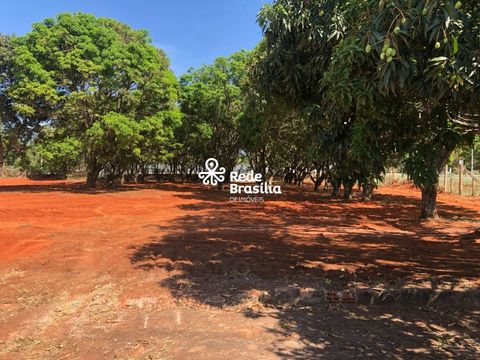 Foto Terreno