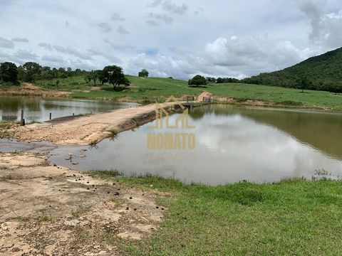 Foto Fazenda / Sítio / Chácara
