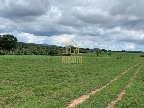 Foto Fazenda / Sítio / Chácara