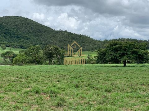 Foto Fazenda / Sítio / Chácara