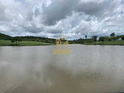 Foto Fazenda / Sítio / Chácara