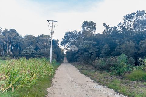 Foto Terreno