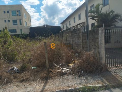 Foto Terreno