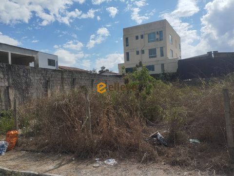 Foto Terreno