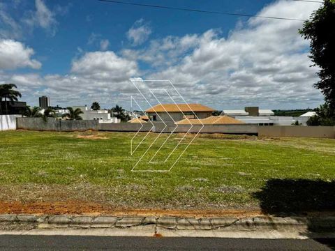 Foto Terreno