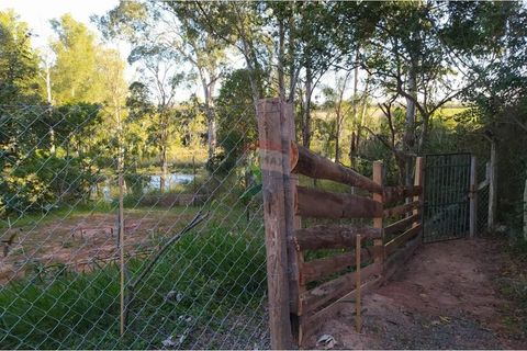 Foto Fazenda / Sítio / Chácara