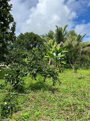 Foto Fazenda / Sítio / Chácara