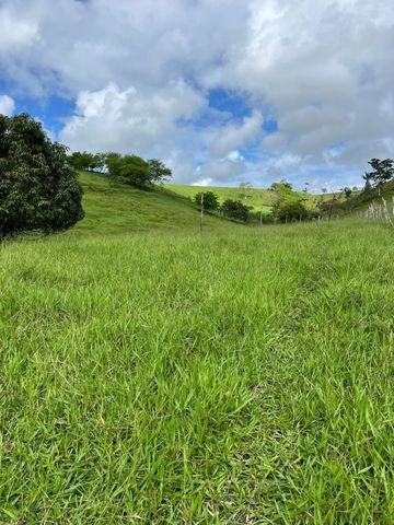 Foto Fazenda / Sítio / Chácara