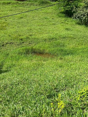 Foto Fazenda / Sítio / Chácara