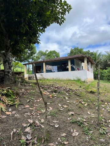Foto Fazenda / Sítio / Chácara