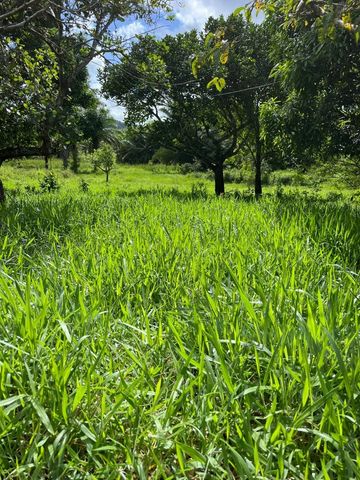 Foto Fazenda / Sítio / Chácara
