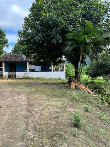 Foto Fazenda / Sítio / Chácara