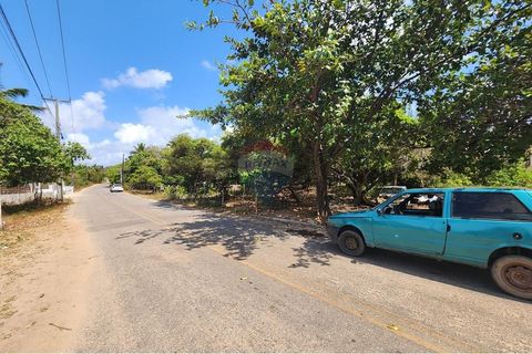 Foto Terreno