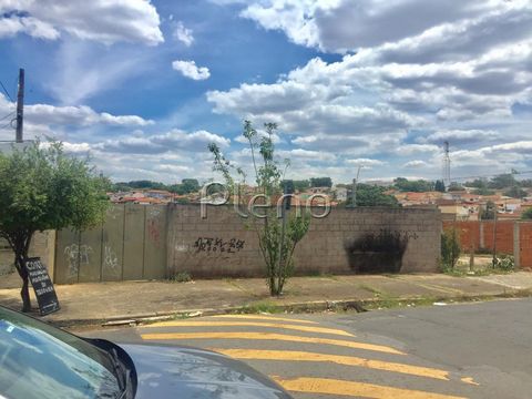 Foto Terreno