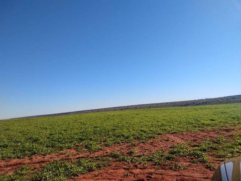Foto Fazenda / Sítio / Chácara