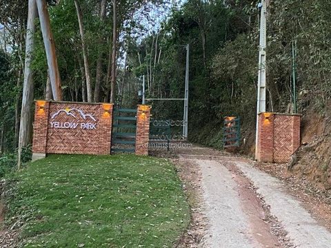 Foto Terreno