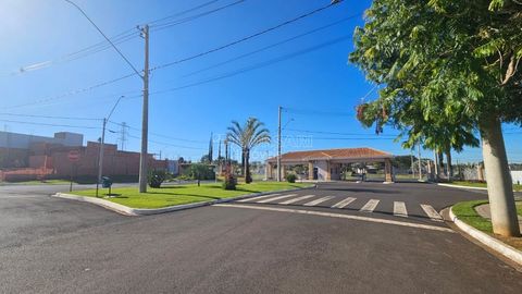 Foto Terreno