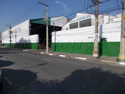Foto Galpão / Depósito / Armazém / Pavilhão