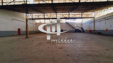 Foto Galpão / Depósito / Armazém / Pavilhão