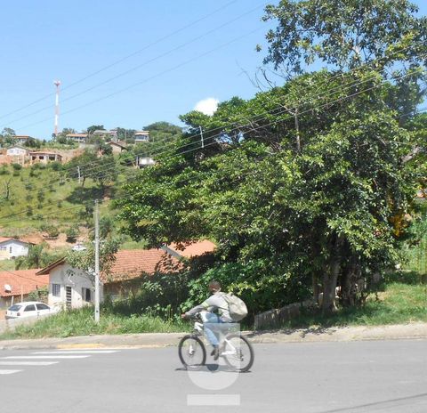Foto Terreno