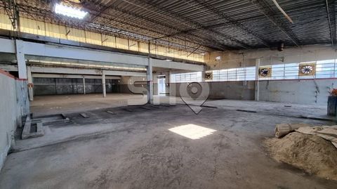 Foto Galpão / Depósito / Armazém / Pavilhão