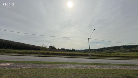 Foto Terreno