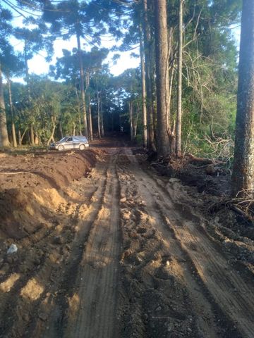 Foto Terreno