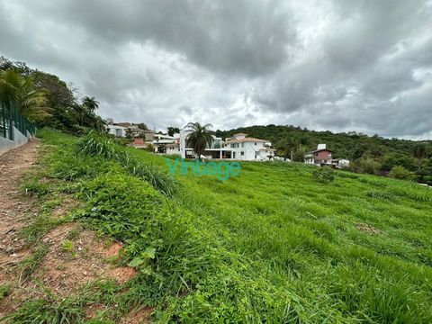 Foto Terreno