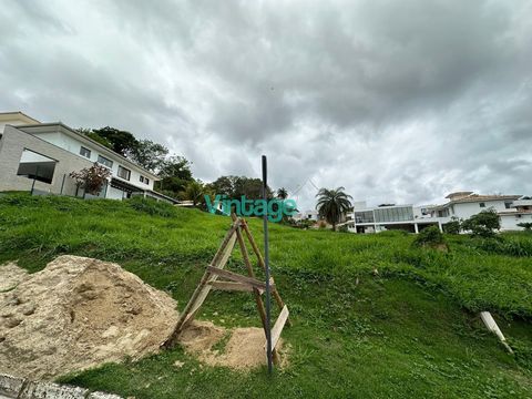 Foto Terreno