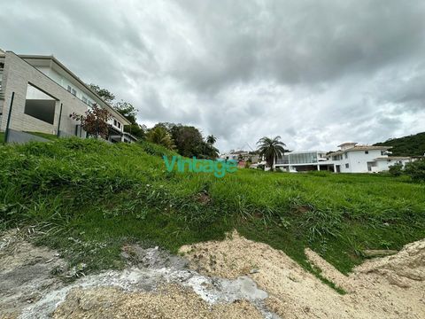 Foto Terreno