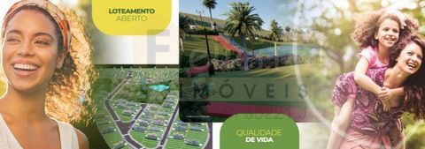 Foto Terreno