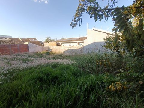 Foto Terreno