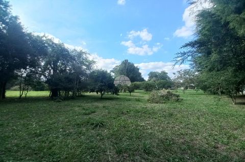 Foto Terreno