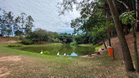 Foto Terreno