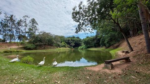 Foto Terreno