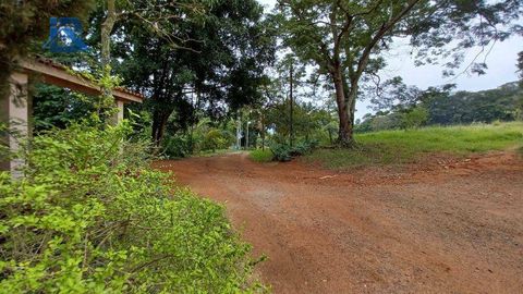 Foto Fazenda / Sítio / Chácara