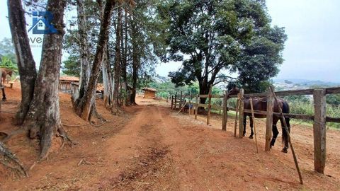 Foto Fazenda / Sítio / Chácara