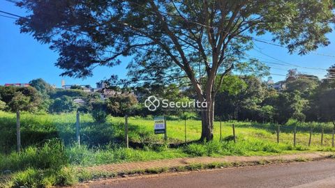 Foto Terreno