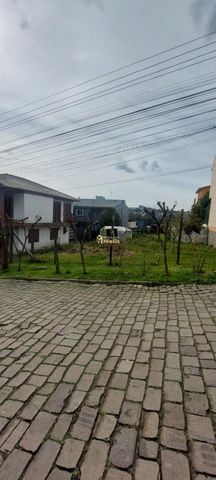 Foto Terreno