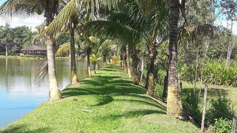 Foto Fazenda / Sítio / Chácara