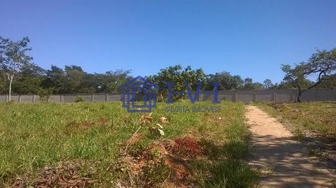 Foto Terreno