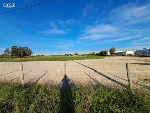 Foto Terreno