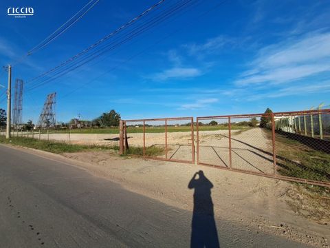 Foto Terreno