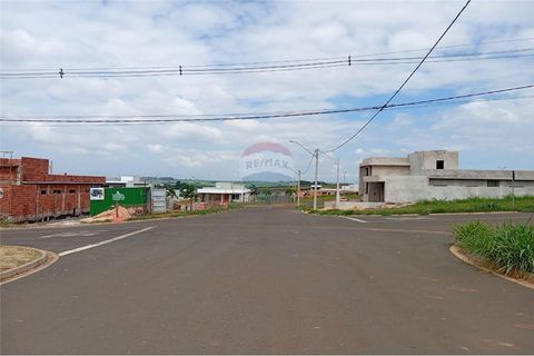 Foto Terreno