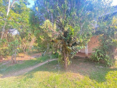 Foto Terreno